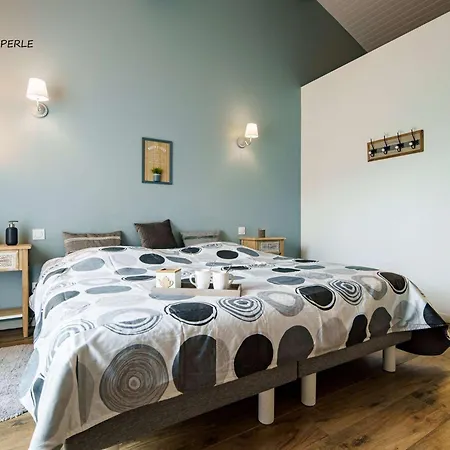 5 étoiles Avec Piscine Chauffée, 4 Ch. Avec Sdb Privées Et Bbq - Jusqu'à 12 Pers. - Fr-1-877-49 Villa Parentis-en-Born