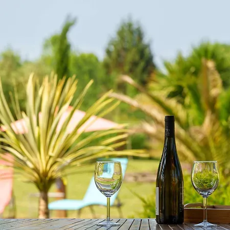 5 étoiles Avec Piscine Chauffée, 4 Ch. Avec Sdb Privées Et Bbq - Jusqu'à 12 Pers. - Fr-1-877-49 *